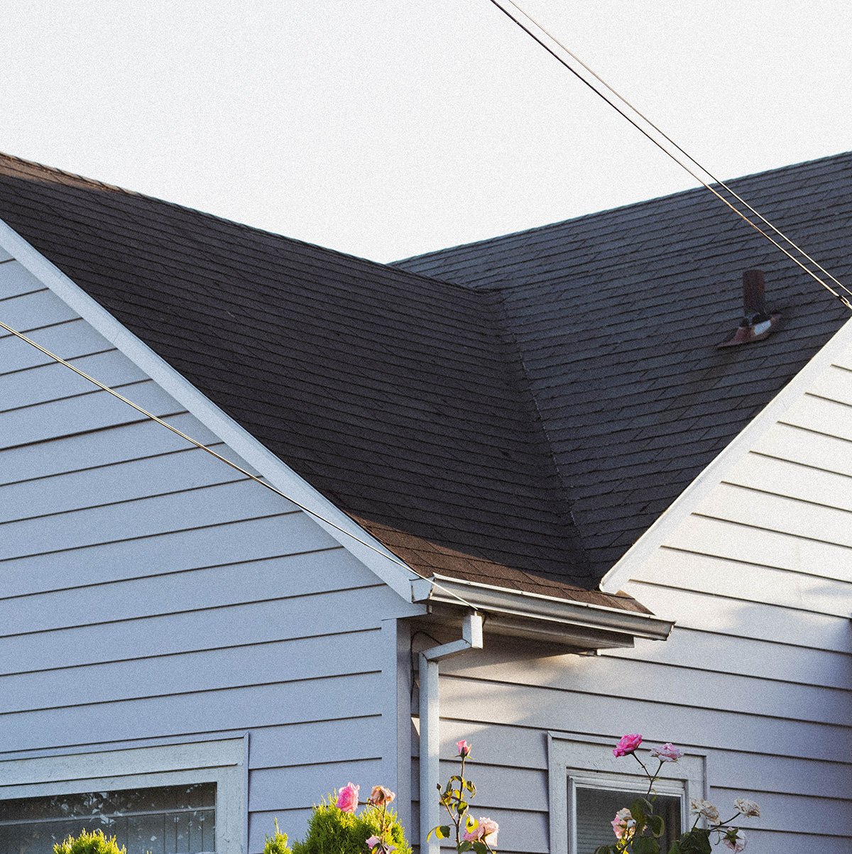 Roof Storm Damage Repair and Insurance with Moose Roofing