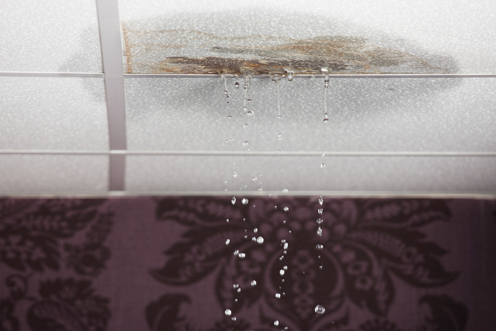 What Should You Do First When You Discover a Roof Leak in Omaha?